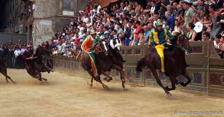 Palio di Siena, vince la contrada della Selva. Record storico per il fantino Tittia: quinta vittoria consecutiva