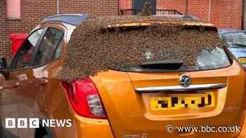 Thousands of bees swarm over car in Northwich