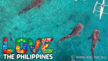 Philippines tourism ad agency apologises for using stock footage from Switzerland, Brazil and UAE