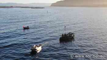 Raft crafted from marine debris to set sail with anti-pollution message