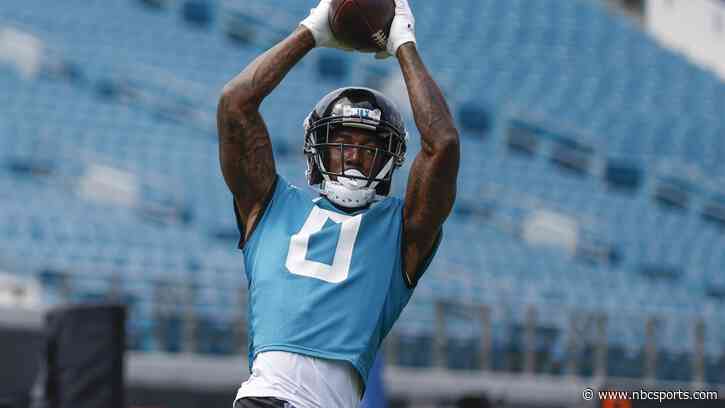 Jaguars WR Jamal Agnew describes Calvin Ridley as a "mismatch nightmare"