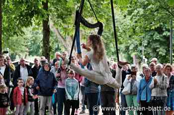LGS in Höxter: Seilakrobatik zwischen alten Bäumen fasziniert