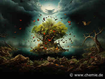 Wie Chemikalieneinsatz und der Verlust der Artenvielfalt zusammenhängen