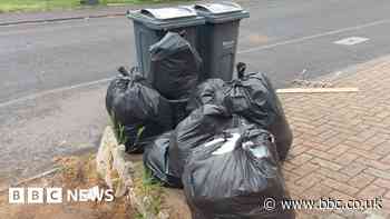 Sandwell bin strikes postponed after talks
