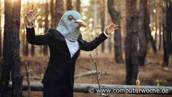 25 morbide Stock-Fotos