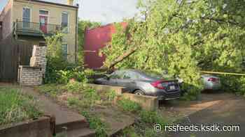 'Everybody is kind of shaken': Neighbors, business owners react to woman killed by fallen tree