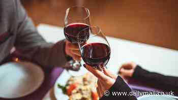 Study on sex shows what happens in the bedroom when you drink red wine