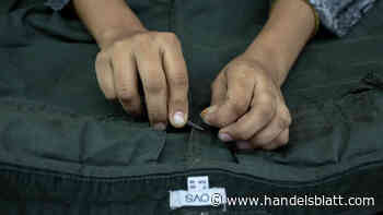 Kommentar : Neue Lieferkettenvorschrift beseitigt Wettbewerbsnachteile für Unternehmen