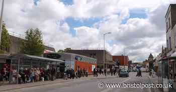 Archaeologists bid to unravel 130-year-old circus elephant burial mystery