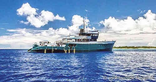 Silhouette Cruises: Wal-Expedition auf den Seychellen