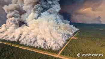 What happens when the largest wildfire on record in B.C. stops burning?
