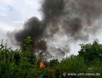 Großbrand in Kleingartenlage: Feuer zerstört zehn Gartenhütten in Neu-Ulm