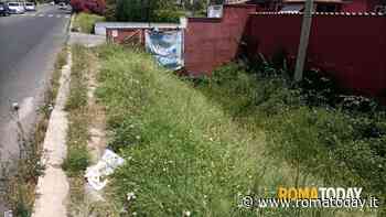 Via di Saponara, urgono guardrail. Senza barriere le auto finiscono nei fossati