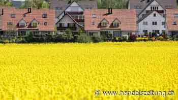 Warum sich ein Eigenheim nicht mehr lohnt