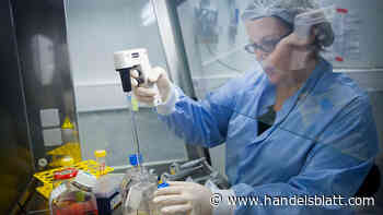 Medikamentenentwicklung: Pharmabranche fordert mehr klinische Studien in Deutschland