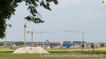 In Wolfsburg fehlen immer noch Ausgleichsmaßnahmen für die Natur