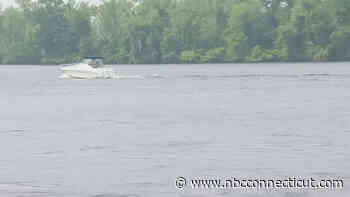 Bobcat that attacked camp counselor at state park tests positive for rabies: DEEP