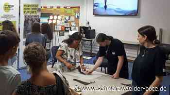 Kontaktbörse in Wildberg: Bildungszentrum stellt Berufe vor