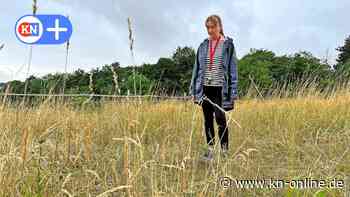 Pferd in Göttingen erschossen – Peta bietet Belohnung für Hinweise