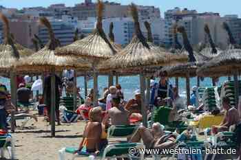 Trotz Online-Konkurrenz: Reisebüros im Kreis Höxter verbuchen Zuwächse