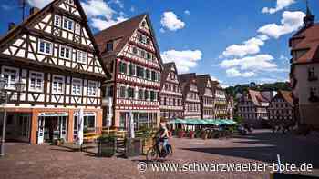 Co-Workingspace in Calw: Wird dieses Modell die Innenstadt beleben?