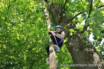 Kirchlengern: Schulwäldchen wird zum Kletterparadies