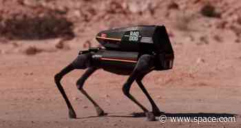 Robot dogs race across a simulated Red Planet in in new reality TV series 'Stars on Mars' (exclusive)