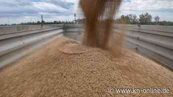 Bedrohter Getreidedeal: EU-Staaten erwägen Zugeständnisse an Russland