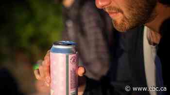 Regina considers legalizing public alcohol consumption in 12 parks this summer