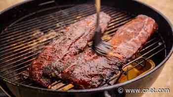 Charcoal, Gas, Electric, Pellet: What Type of Grill Should You Buy This Summer?     - CNET