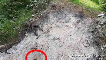 Wanderer entdecken Glutnest in Berggebiet - Wind hätte zum Problem werden können