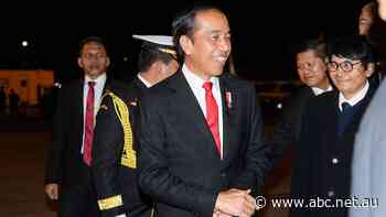 Indonesian president's visit presents chance for 'concrete actions' with Australia, expert says