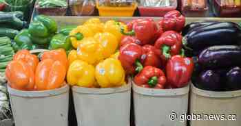 Farmers say rainy weather delaying summer New Brunswick crops