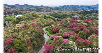 La solution du Guizhou pour une coexistence harmonieuse entre les humains et la nature
