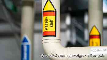 Experte warnt vor H2-Heizung: Alternative ist viel günstiger