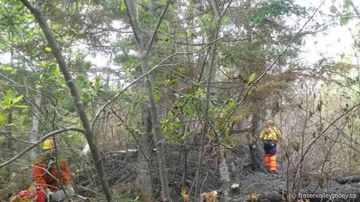 Quebec forest fire situation continues to improve with rain but risks remain: SOPFEU