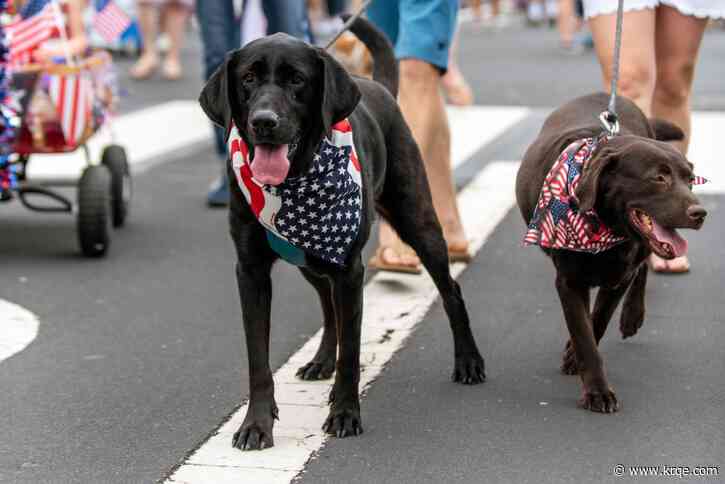 Tips to keep your pet safe this July 4th
