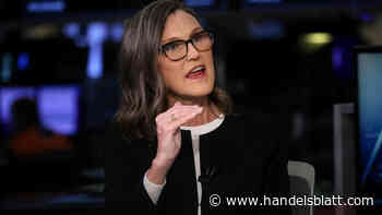 Ark Invest: Auf diese drei KI-Aktien setzt Cathie Wood aktuell