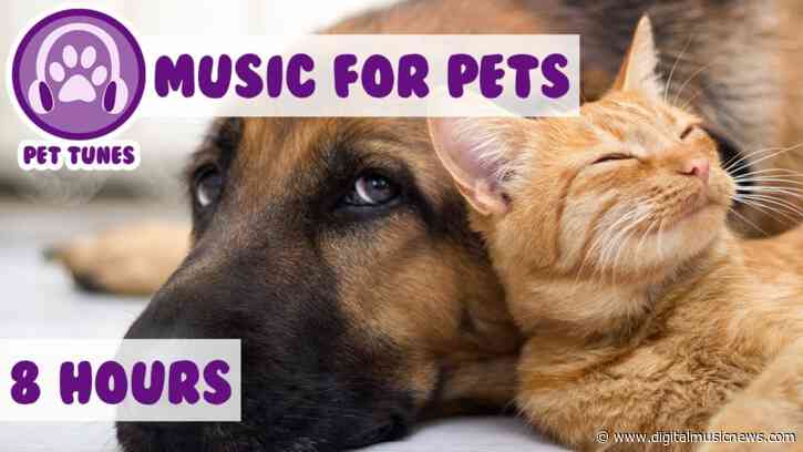 Create Music Group Acquires Music for Pets with $10 Million in Future Investment Planned