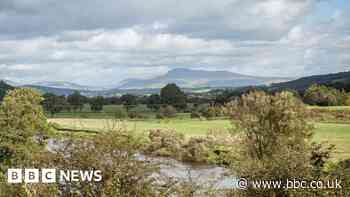 New strategy to restore Lancashire's habitats