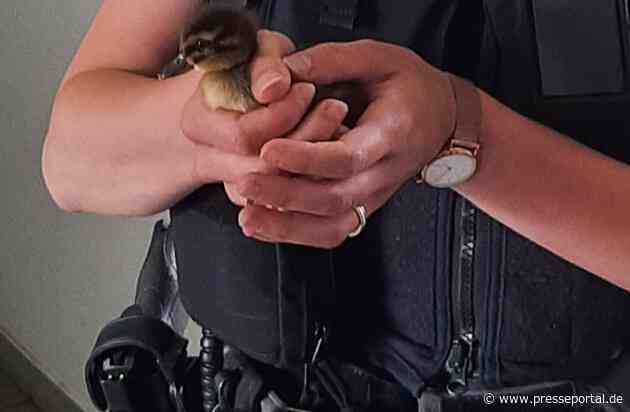 BPOL-KL: Tierschützerin rettet Entenküken im Zug
