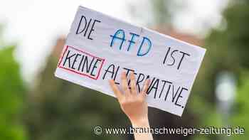 Umfrage: Klare Haltung zu Regierungskoalitionen mit der AfD