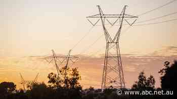 There's a growing community backlash to transmission line projects. This review hopes to quell concerns