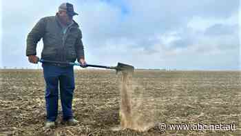 'Strange' weather in NSW parches soil in some parts while drenching state's west