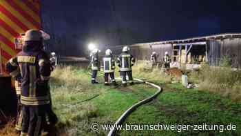 Brand am Pöhlder Kreisel: Mehrere Feuerwehren im Einsatz