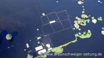 Wetterphänomen El Niño ist da