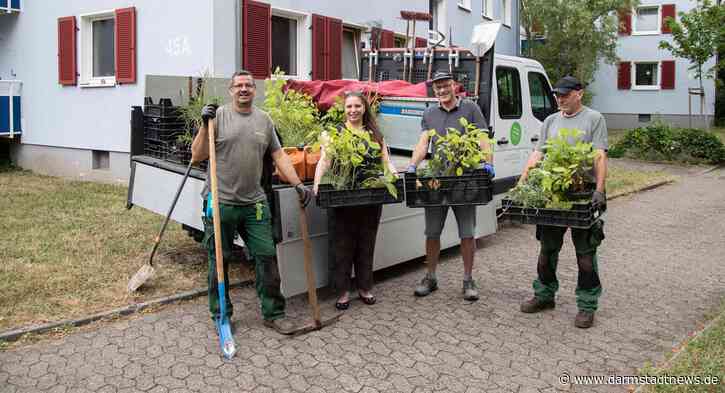 Gartenarbeit verbindet – Pflanzaktion von Vonovia in Darmstadt