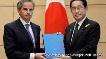 IAEA: Japans Plan zur Kühlwasser-Verklappung sicher
