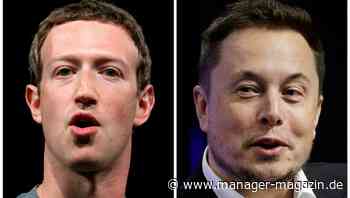 Meta versus Twitter: Mark Zuckerberg sagt Elon Musk den Kampf an