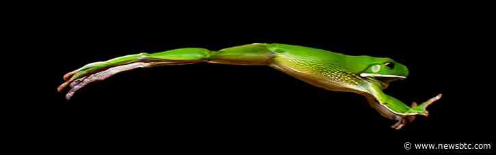 PEPE Breaches Local Highs With 20% Leap In Surprise Comeback